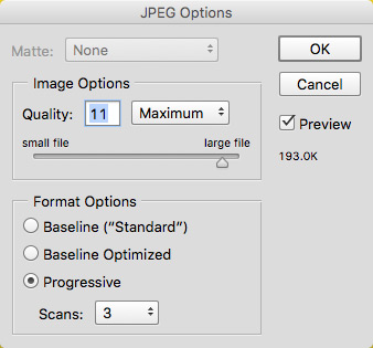 Photoshop's default Save As dialog for a JPEG - creates a 193Kb image